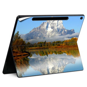Surface Pro 12 �C���` (2025) �p �X�L���V�[�� �S�ʃX�L���V�[�� �t�� SurfacePro12 �p �w�� �� �X�e�b�J�[ �ی�V�[�� ���i���Ĕ������V�[�g �L�����N�^�[ ���킢�� 023396 �����@��@�l�� 008162 �ʐ^�@