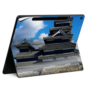 Surface Pro 12 C` (2025) p XLV[ SʃXLV[ t SurfacePro12 p w  XebJ[ یV[ iĔV[g LN^[ 킢 023396 @@l 008626 ʐ^@