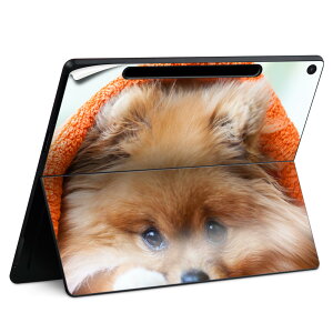 Surface Pro 12 �C���` (2025) �p �X�L���V�[�� �S�ʃX�L���V�[�� �t�� SurfacePro12 �p �w�� �� �X�e�b�J�[ �ی�V�[�� ���i���Ĕ������V�[�g �L�����N�^�[ ���킢�� 023396 �����@��@�l�� 008644 ���@��