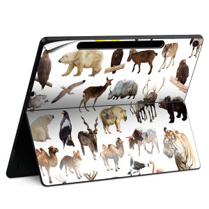 Surface Pro 12 C` (2025) p XLV[ SʃXLV[ t SurfacePro12 p w  XebJ[ یV[ iĔV[g LN^[ 킢 023396 @@l 008864 ʐ^@