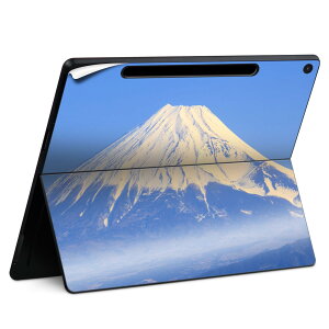 Surface Pro 12 C` (2025) p XLV[ SʃXLV[ t SurfacePro12 p w  XebJ[ یV[ iĔV[g LN^[ 킢 023396 @@l 009599 xmR