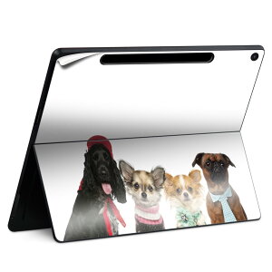 Surface Pro 12 C` (2025) p XLV[ SʃXLV[ t SurfacePro12 p w  XebJ[ یV[ iĔV[g LN^[ 킢 023396 @@l 009810 @