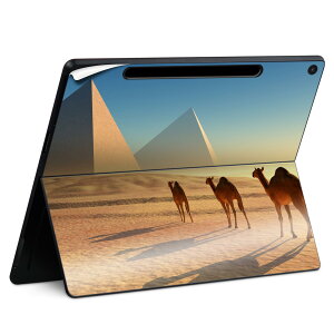Surface Pro 12 �C���` (2025) �p �X�L���V�[�� �S�ʃX�L���V�[�� �t�� SurfacePro12 �p �w�� �� �X�e�b�J�[ �ی�V�[�� ���i���Ĕ������V�[�g �L�����N�^�[ ���킢�� 023396 �����@��@�l�� 010934 �炭��