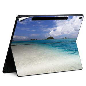 Surface Pro 12 �C���` (2025) �p �X�L���V�[�� �S�ʃX�L���V�[�� �t�� SurfacePro12 �p �w�� �� �X�e�b�J�[ �ی�V�[�� ���i���Ĕ������V�[�g �L�����N�^�[ ���킢�� 023396 �����@��@�l�� 011230 �C�@�r