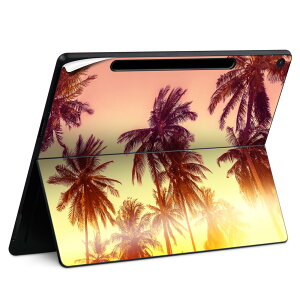 Surface Pro 12 C` (2025) p XLV[ SʃXLV[ t SurfacePro12 p w  XebJ[ یV[ iĔV[g LN^[ 킢 023396 @@l 011302 ā@