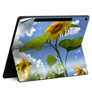 Surface Pro 12 C` (2025) p XLV[ SʃXLV[ t SurfacePro12 p w  XebJ[ یV[ iĔV[g LN^[ 킢 023396 @@l 011366 ԁ@