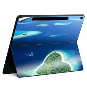 Surface Pro 12 C` (2025) p XLV[ SʃXLV[ t SurfacePro12 p w  XebJ[ یV[ iĔV[g LN^[ 킢 023396 @@l 011391 C@n