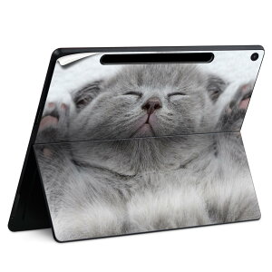 Surface Pro 12 C` (2025) p XLV[ SʃXLV[ t SurfacePro12 p w  XebJ[ یV[ iĔV[g LN^[ 킢 023396 @@l 011682 L@