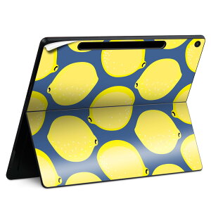 Surface Pro 12 C` (2025) p XLV[ SʃXLV[ t SurfacePro12 p w  XebJ[ یV[ iĔV[g LN^[ 킢 023396 @@l 011985 