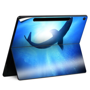 Surface Pro 12 �C���` (2025) �p �X�L���V�[�� �S�ʃX�L���V�[�� �t�� SurfacePro12 �p �w�� �� �X�e�b�J�[ �ی�V�[�� ���i���Ĕ������V�[�g �L�����N�^�[ ���킢�� 023396 �����@��@�l�� 012652 ���@��