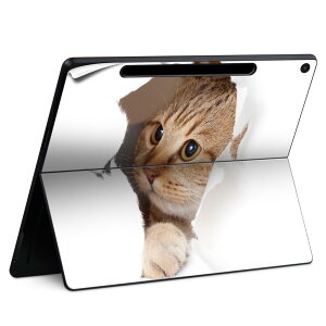 Surface Pro 12 C` (2025) p XLV[ SʃXLV[ t SurfacePro12 p w  XebJ[ یV[ iĔV[g LN^[ 킢 023396 @@l 013566 L@