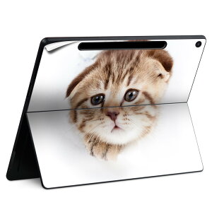 Surface Pro 12 C` (2025) p XLV[ SʃXLV[ t SurfacePro12 p w  XebJ[ یV[ iĔV[g LN^[ 킢 023396 @@l 013568 L@