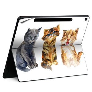 Surface Pro 12 C` (2025) p XLV[ SʃXLV[ t SurfacePro12 p w  XebJ[ یV[ iĔV[g LN^[ 킢 023396 @@l 014023 L@