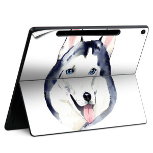 Surface Pro 12 �C���` (2025) �p �X�L���V�[�� �S�ʃX�L���V�[�� �t�� SurfacePro12 �p �w�� �� �X�e�b�J�[ �ی�V�[�� ���i���Ĕ������V�[�g �L�����N�^�[ ���킢�� 023396 �����@��@�l�� 014833 �n�X�L