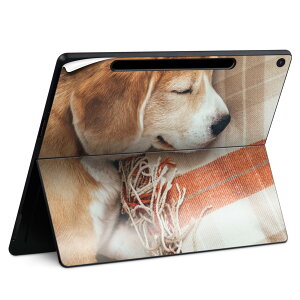 Surface Pro 12 �C���` (2025) �p �X�L���V�[�� �S�ʃX�L���V�[�� �t�� SurfacePro12 �p �w�� �� �X�e�b�J�[ �ی�V�[�� ���i���Ĕ������V�[�g �L�����N�^�[ ���킢�� 023396 �����@��@�l�� 014838 ���@��