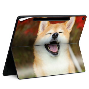 Surface Pro 12 �C���` (2025) �p �X�L���V�[�� �S�ʃX�L���V�[�� �t�� SurfacePro12 �p �w�� �� �X�e�b�J�[ �ی�V�[�� ���i���Ĕ������V�[�g �L�����N�^�[ ���킢�� 023396 �����@��@�l�� 015611 ���@��