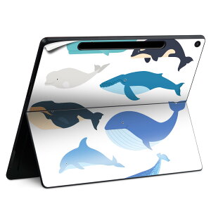 Surface Pro 12 C` (2025) p XLV[ SʃXLV[ t SurfacePro12 p w  XebJ[ یV[ iĔV[g LN^[ 킢 023396 @@l 015822 @