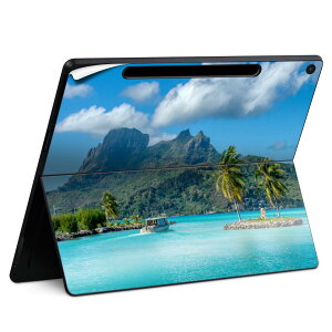 Surface Pro 12 �C���` (2025) �p �X�L���V�[�� �S�ʃX�L���V�[�� �t�� SurfacePro12 �p �w�� �� �X�e�b�J�[ �ی�V�[�� ���i���Ĕ������V�[�g �L�����N�^�[ ���킢�� 023396 �����@��@�l�� 018342 �C �R 