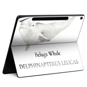 Surface Pro 12 �C���` (2025) �p �X�L���V�[�� �S�ʃX�L���V�[�� �t�� SurfacePro12 �p �w�� �� �X�e�b�J�[ �ی�V�[�� ���i���Ĕ������V�[�g �L�����N�^�[ ���킢�� 023396 �����@��@�l�� 019747 �C�̐�