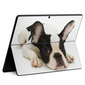Surface Pro11(2024) / Pro10(for Business) / Pro9(2022) ���ʑΉ� �w�� �ی� �f�U�C�� �X�L���V�[�� Pro8/ProX �e��Ή� 000889 �� �t�����`�u���h�b�N