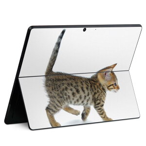 Surface Pro11(2024) / Pro10(for Business) / Pro9(2022) ���ʑΉ� �w�� �ی� �f�U�C�� �X�L���V�[�� Pro8/ProX �e��Ή� 000915 �l�R �q�L