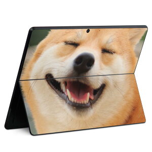 Surface Pro11(2024) / Pro10(for Business) / Pro9(2022) ʑΉ w ی fUC XLV[ Pro8/ProX eΉ 000926  Č