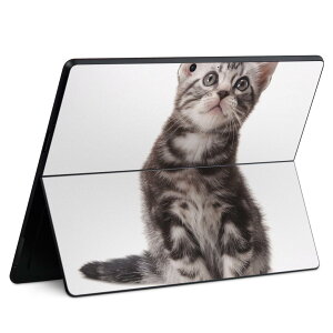 Surface Pro11(2024) / Pro10(for Business) / Pro9(2022) ʑΉ w ی fUC XLV[ Pro8/ProX eΉ 001070 L AJV[gwA