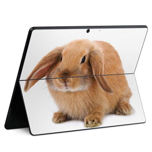 Surface Pro11(2024) / Pro10(for Business) / Pro9(2022) ʑΉ w ی fUC XLV[ Pro8/ProX eΉ 001112  