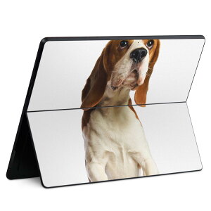 Surface Pro11(2024) / Pro10(for Business) / Pro9(2022) ���ʑΉ� �w�� �ی� �f�U�C�� �X�L���V�[�� Pro8/ProX �e��Ή� 001147 �� �r�[�O��