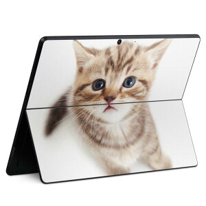 Surface Pro11(2024) / Pro10(for Business) / Pro9(2022) ���ʑΉ� �w�� �ی� �f�U�C�� �X�L���V�[�� Pro8/ProX �e��Ή� 001194 �l�R ����