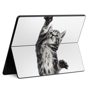 Surface Pro11(2024) / Pro10(for Business) / Pro9(2022) ���ʑΉ� �w�� �ی� �f�U�C�� �X�L���V�[�� Pro8/ProX �e��Ή� 001200 �l�R ����