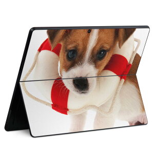 Surface Pro11(2024) / Pro10(for Business) / Pro9(2022) ���ʑΉ� �w�� �ی� �f�U�C�� �X�L���V�[�� Pro8/ProX �e��Ή� 001242 �� ����