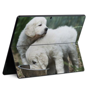 Surface Pro11(2024) / Pro10(for Business) / Pro9(2022) ʑΉ w ی fUC XLV[ Pro8/ProX eΉ 002577