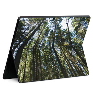 Surface Pro11(2024) / Pro10(for Business) / Pro9(2022) ���ʑΉ� �w�� �ی� �f�U�C�� �X�L���V�[�� Pro8/ProX �e��Ή� 002581 �i�F ���i �ʐ^