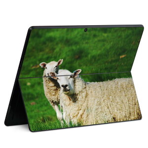 Surface Pro11(2024) / Pro10(for Business) / Pro9(2022) ʑΉ w ی fUC XLV[ Pro8/ProX eΉ 002585 Ђ  ʐ^