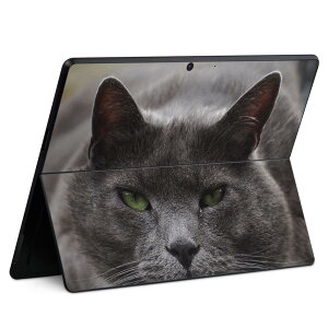 Surface Pro11(2024) / Pro10(for Business) / Pro9(2022) ʑΉ w ی fUC XLV[ Pro8/ProX eΉ 002650 L  ʐ^