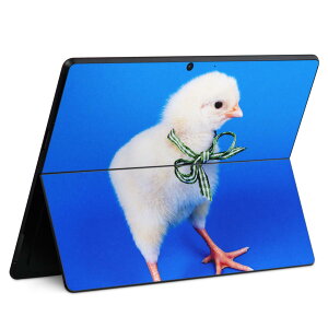 Surface Pro11(2024) / Pro10(for Business) / Pro9(2022) ���ʑΉ� �w�� �ی� �f�U�C�� �X�L���V�[�� Pro8/ProX �e��Ή� 002683 �� ���� �ʐ^