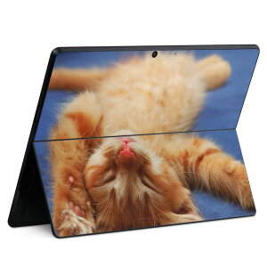 Surface Pro11(2024) / Pro10(for Business) / Pro9(2022) ʑΉ w ی fUC XLV[ Pro8/ProX eΉ 002759 L  ʐ^