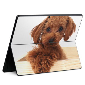 Surface Pro11(2024) / Pro10(for Business) / Pro9(2022) ���ʑΉ� �w�� �ی� �f�U�C�� �X�L���V�[�� Pro8/ProX �e��Ή� 002769 �� ���� �ʐ^