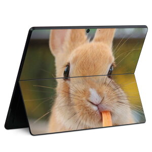 Surface Pro11(2024) / Pro10(for Business) / Pro9(2022) ʑΉ w ی fUC XLV[ Pro8/ProX eΉ 002807   ʐ^