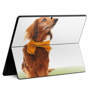 Surface Pro11(2024) / Pro10(for Business) / Pro9(2022) 共通対応 背面 保護 デザイン スキンシール Pro8/ProX 各種対応 002852 犬 動物 写真