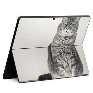 Surface Pro11(2024) / Pro10(for Business) / Pro9(2022) ���ʑΉ� �w�� �ی� �f�U�C�� �X�L���V�[�� Pro8/ProX �e��Ή� 002901 �L ���� �ʐ^