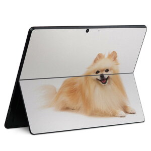 Surface Pro11(2024) / Pro10(for Business) / Pro9(2022) ʑΉ w ی fUC XLV[ Pro8/ProX eΉ 002911   ʐ^