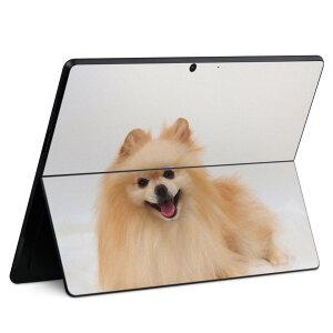 Surface Pro11(2024) / Pro10(for Business) / Pro9(2022) ʑΉ w ی fUC XLV[ Pro8/ProX eΉ 002912   ʐ^