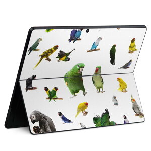 Surface Pro11(2024) / Pro10(for Business) / Pro9(2022) ���ʑΉ� �w�� �ی� �f�U�C�� �X�L���V�[�� Pro8/ProX �e��Ή� 003163 �� ���� �ʐ^