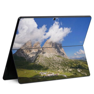 Surface Pro11(2024) / Pro10(for Business) / Pro9(2022) ���ʑΉ� �w�� �ی� �f�U�C�� �X�L���V�[�� Pro8/ProX �e��Ή� 003260 �O�� �ʐ^ �i�F ���i