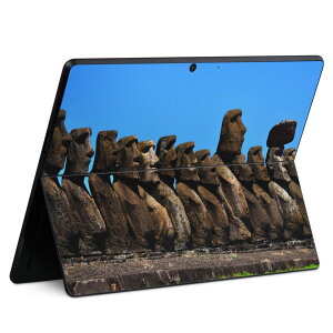 Surface Pro11(2024) / Pro10(for Business) / Pro9(2022) ���ʑΉ� �w�� �ی� �f�U�C�� �X�L���V�[�� Pro8/ProX �e��Ή� 003284 �O�� �ʐ^ �i�F ���i