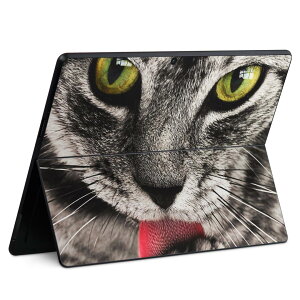 Surface Pro11(2024) / Pro10(for Business) / Pro9(2022) ���ʑΉ� �w�� �ی� �f�U�C�� �X�L���V�[�� Pro8/ProX �e��Ή� 023078 �L �˂� ���� �ʐ^