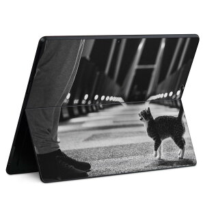 Surface Pro11(2024) / Pro10(for Business) / Pro9(2022) ���ʑΉ� �w�� �ی� �f�U�C�� �X�L���V�[�� Pro8/ProX �e��Ή� 023087 �L �˂� �ʐ^ ���m�N��