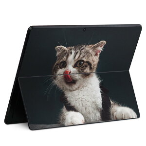 Surface Pro11(2024) / Pro10(for Business) / Pro9(2022) ���ʑΉ� �w�� �ی� �f�U�C�� �X�L���V�[�� Pro8/ProX �e��Ή� 023096 �L �˂� ���� �ʐ^